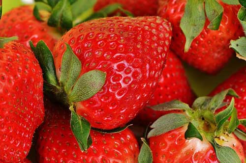 Schweizer Erdbeeren sind nachhaltiger